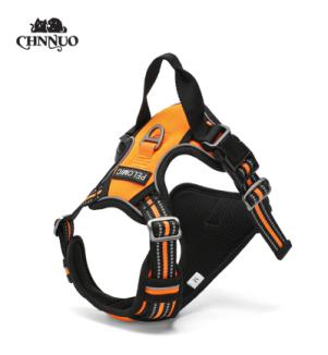 Walking and training products