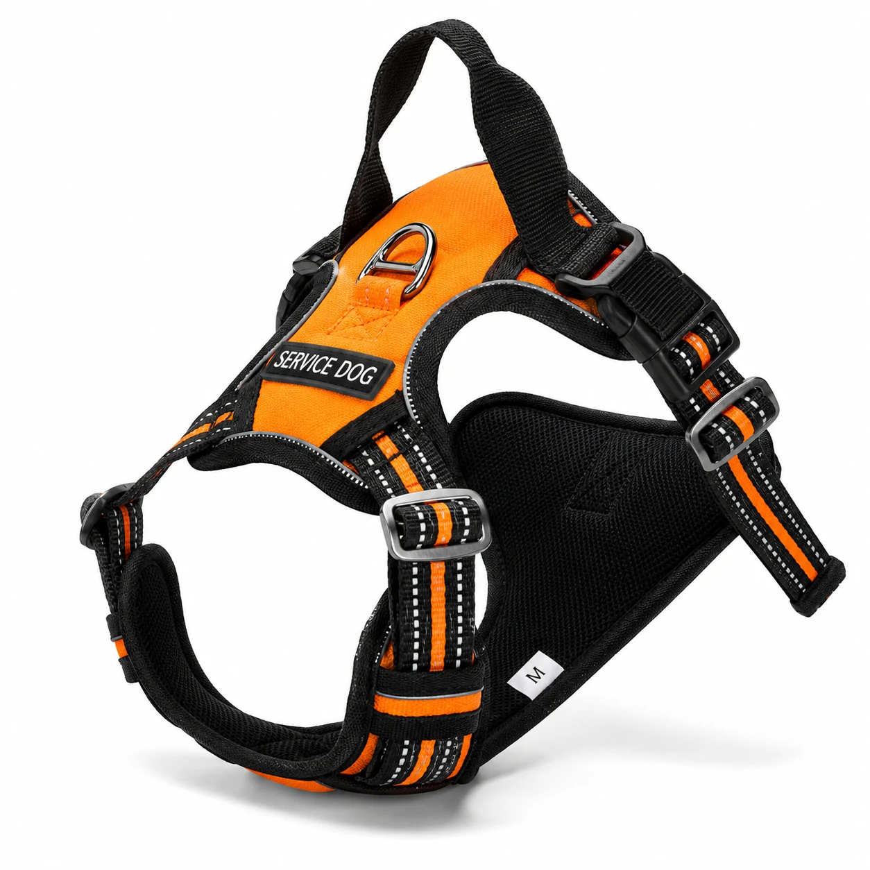 Walking and training products