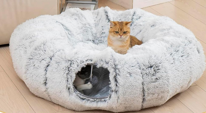 Beds and furniture