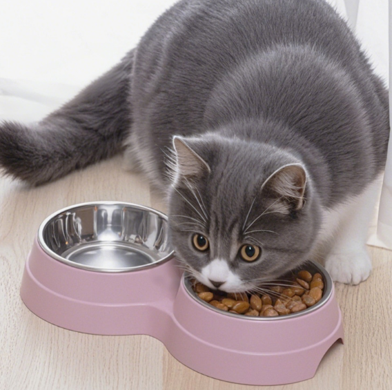 Daily pet essentials